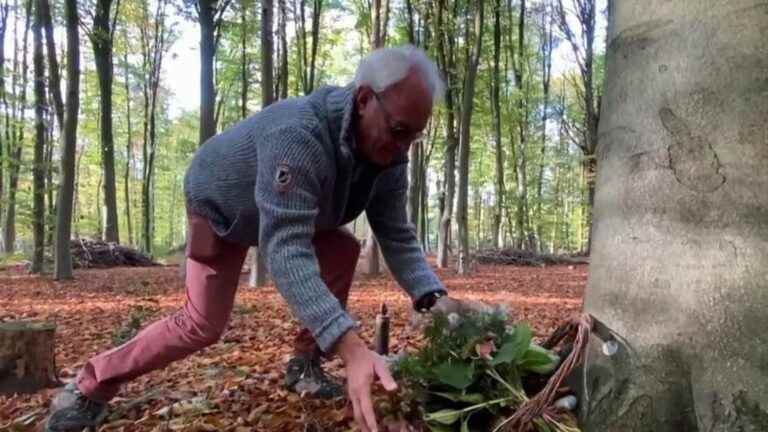 mourn differently by scattering the ashes of the deceased in a private forest