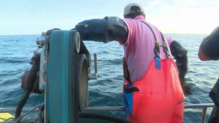 of fishermen in Marseille adopt a responsible practice