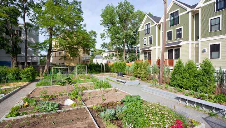 plant your vegetable garden even when you live in an apartment