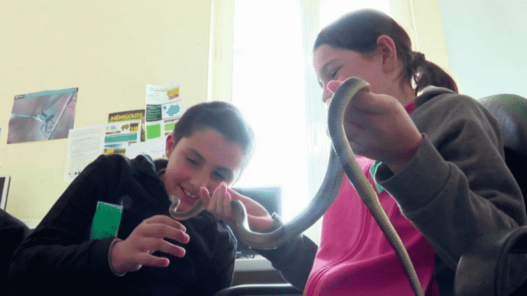 schoolchildren meeting researchers