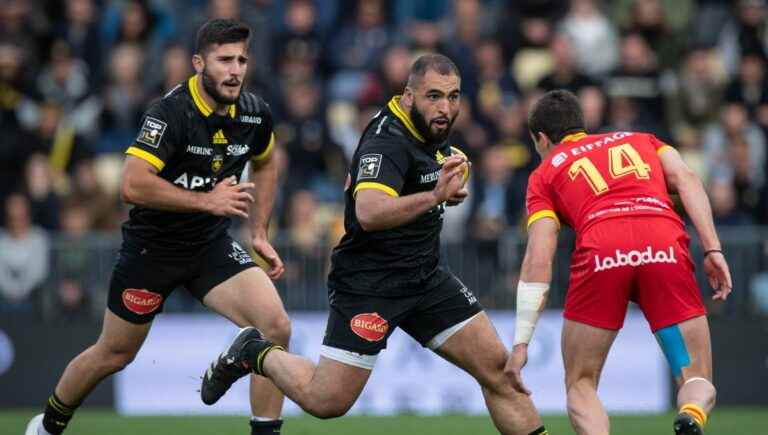 six Rochelais, including Wardi and Bourgarit, summoned for the autumn tour