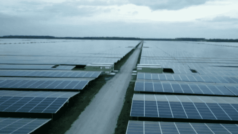 solar power plants on burnt plots in the Gironde