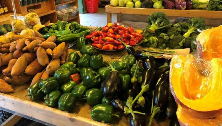 summer vegetables resist in Bessin