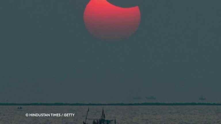 swimming across the Red Sea, ocean of potatoes and solar eclipse… The latest news in pictures