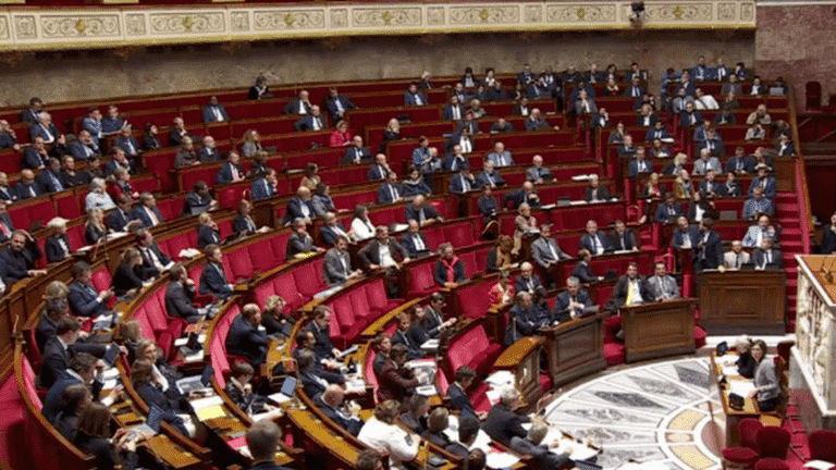 the deputies adopt an amendment against the opinion of the government