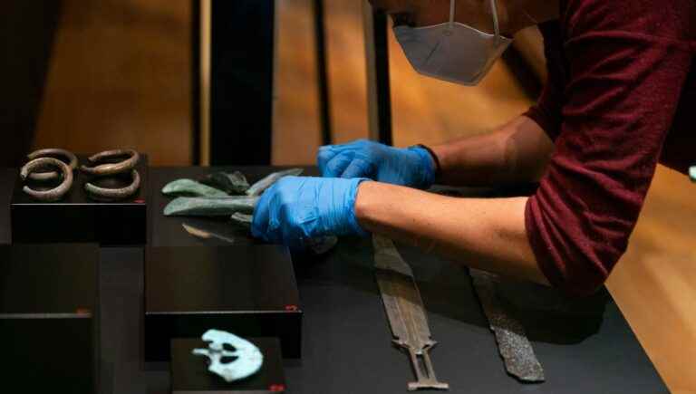 the new temporary exhibition at the National Museum of Prehistory in Les Eyzies