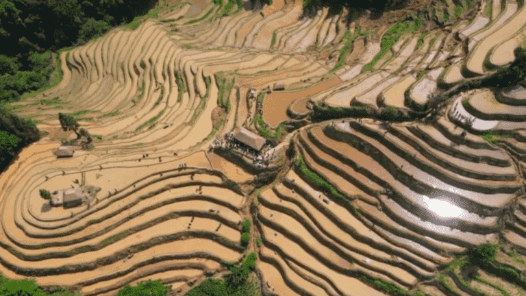 the sublime scenery of the rice terraces of Yuanyang