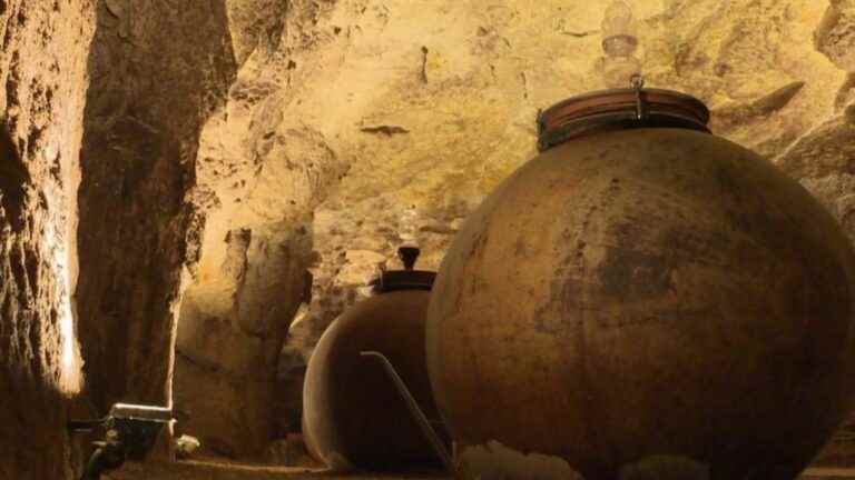 the winegrowers offer wines aged in amphora