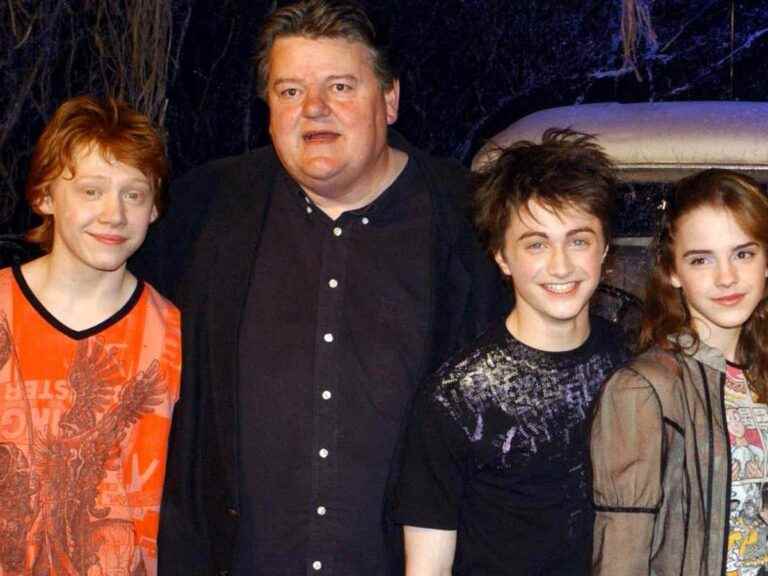 these Harry Potter stars have left us and we must not forget them!