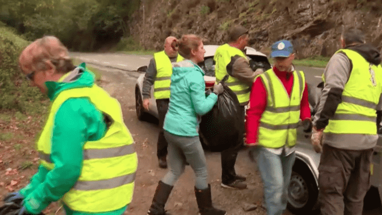 volunteers track down plastic