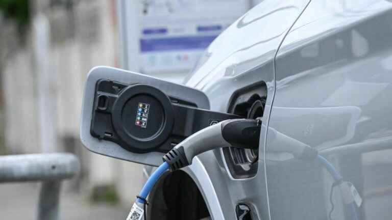 why betting everything on the electric car is a risky bet for manufacturers