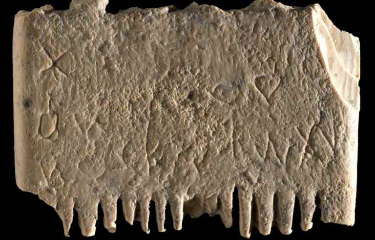 3,700-year-old ‘complete sentence’ found on comb in Israel