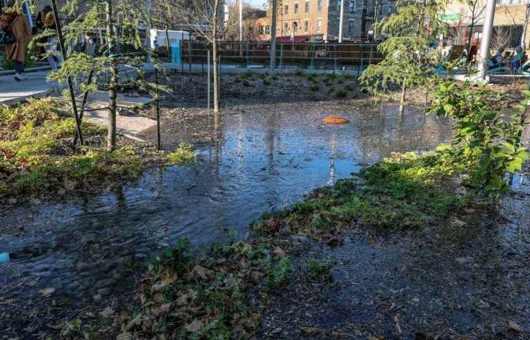 A Montreal public square acts as a sponge during heavy downpours