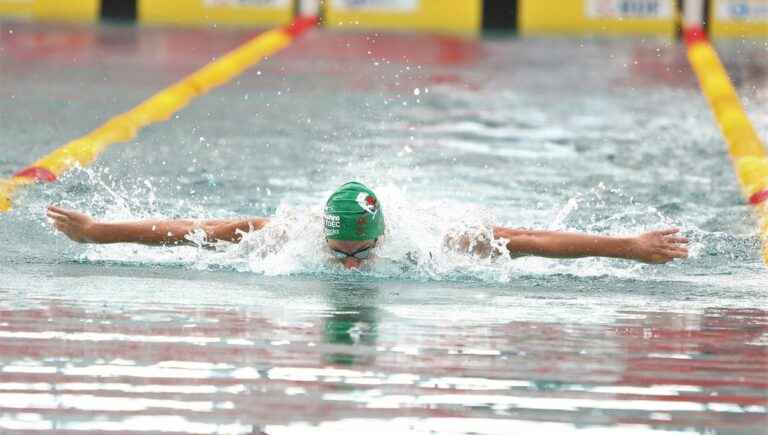 A “serene” Ukrainian swimmer before the French championships explains her Stade Lavallois coach