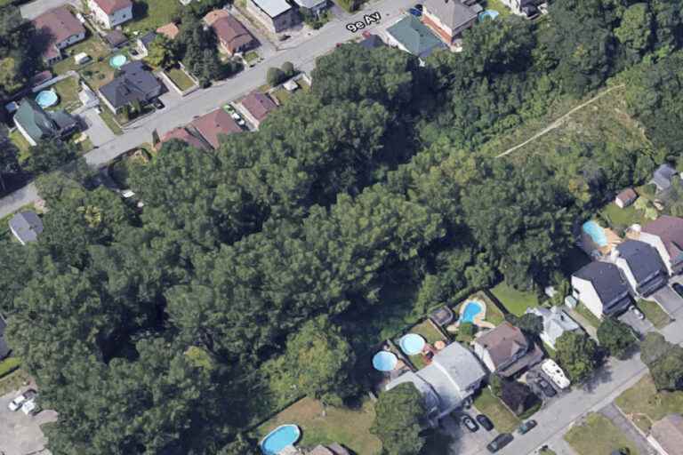 A shaved wooded area in Laval