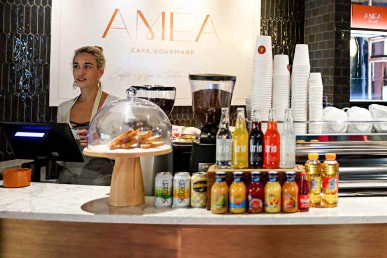 Amea |  Gourmet pleasures at Maison Alcan