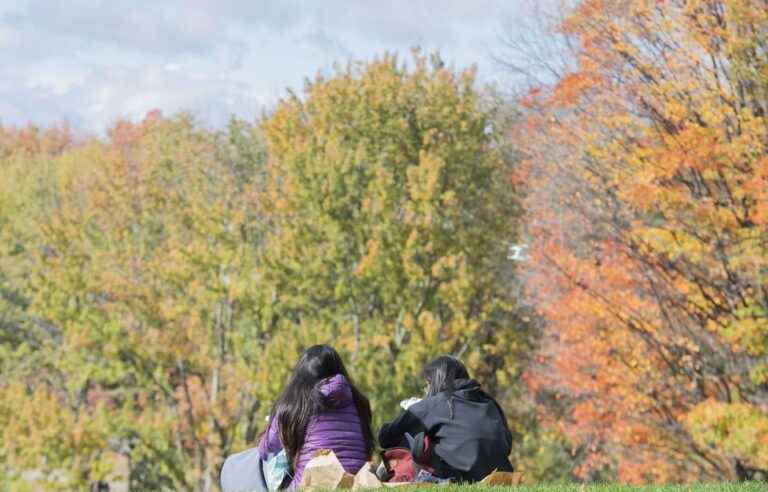 An “absolute” heat record for November is expected this Saturday