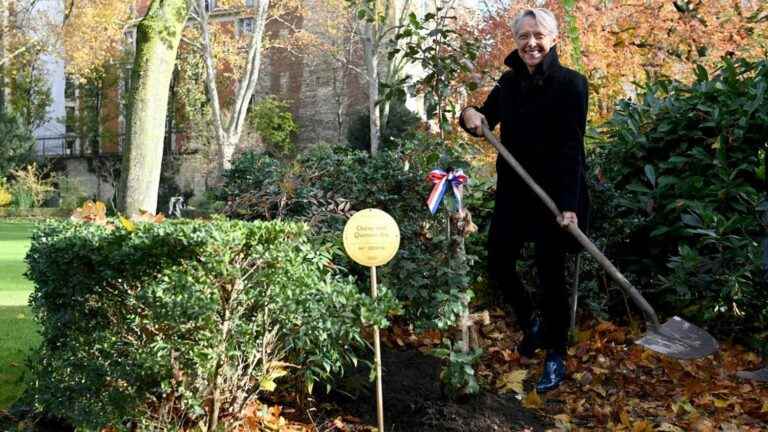 “Anticipating climate change”, Elisabeth Borne plants a holm oak with “evergreen” foliage in Matignon