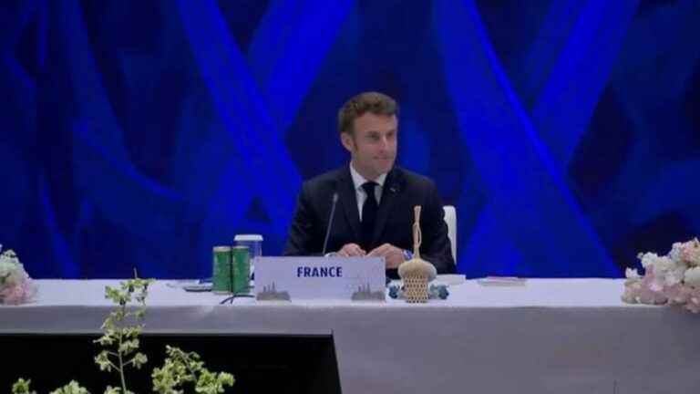 Apec Summit: strategic challenges for Emmanuel Macron