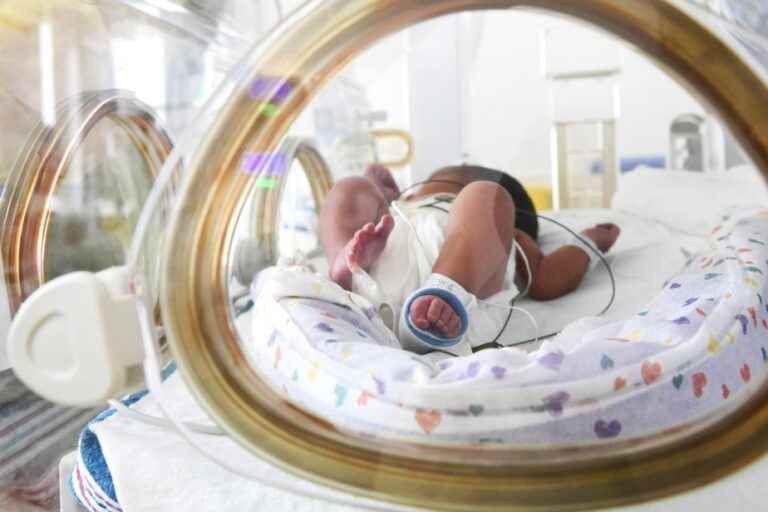 Babies born premature |  Skin-to-skin contact preferable to incubator, says WHO