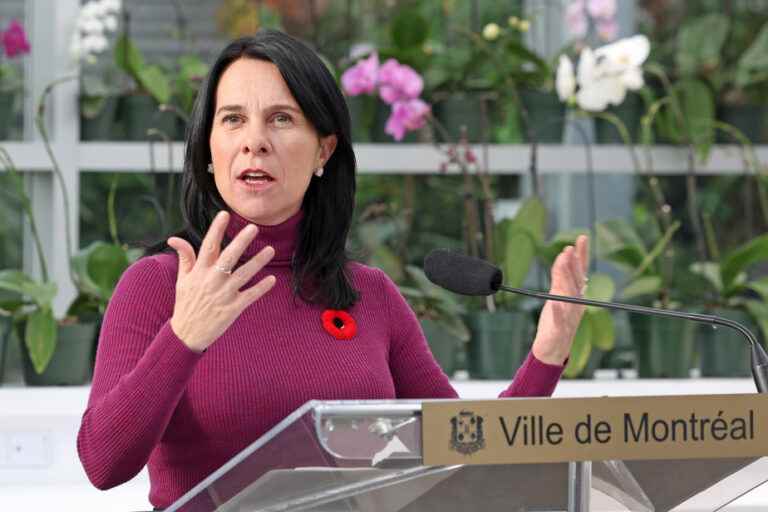 COP15 |  Montreal asks cities to act to protect biodiversity