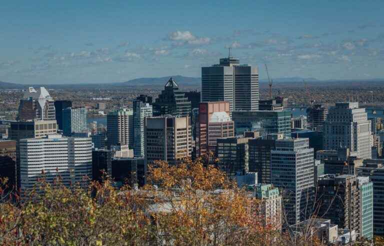 COP15: Montreal launches a movement of the world’s major cities in favor of biodiversity