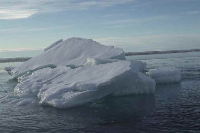 COP27 |  Disappearance of Arctic Ocean ice in summer is inevitable, scientists say