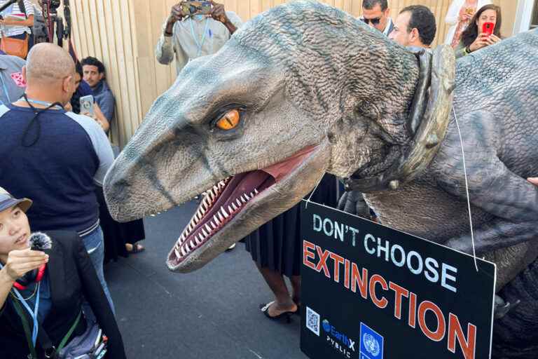 COP27 |  Frankie the Dino says ‘humans are paying for their own demise’