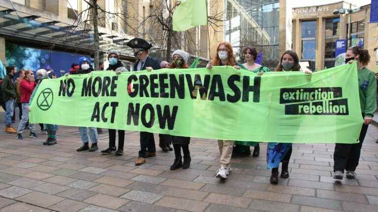 Can the UN experts’ plan to end corporate greenwashing be effective?