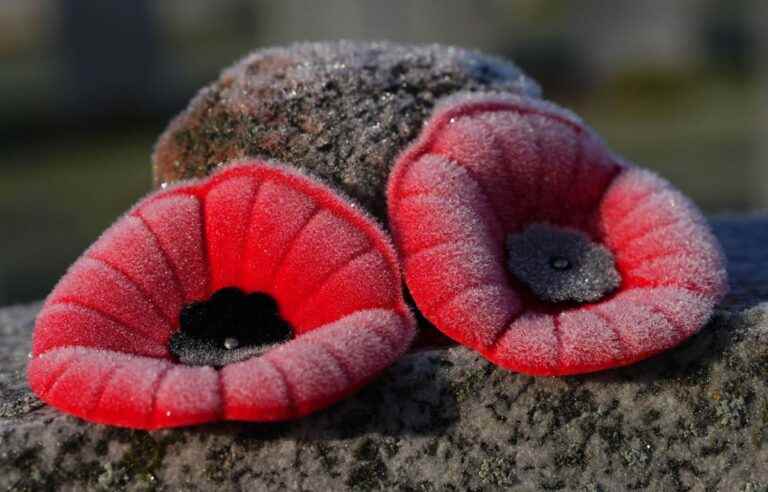 Canadians mark Remembrance Day with ceremonies coast to coast