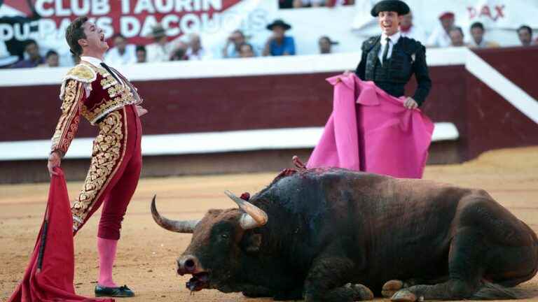 Corrida: the L214 association publishes a new shocking video denouncing “a slow and long agony” for bulls