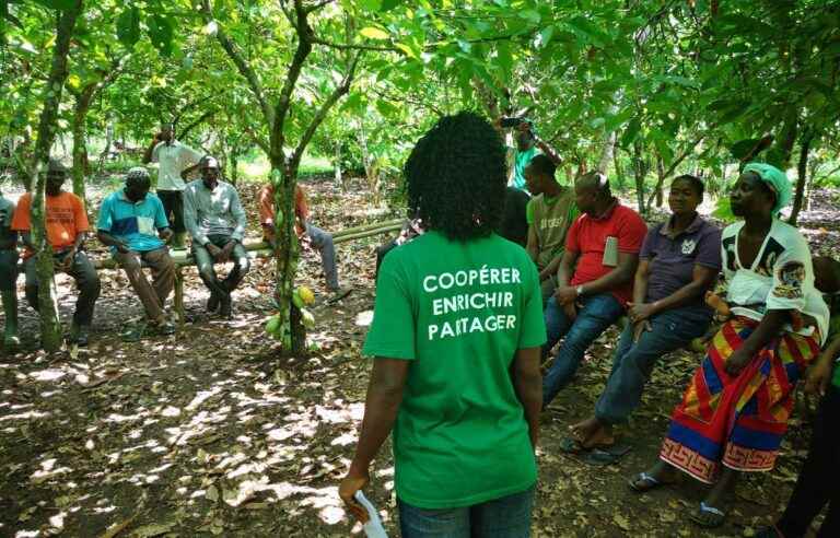 Côte d’Ivoire: for a fair and sustainable cocoa industry