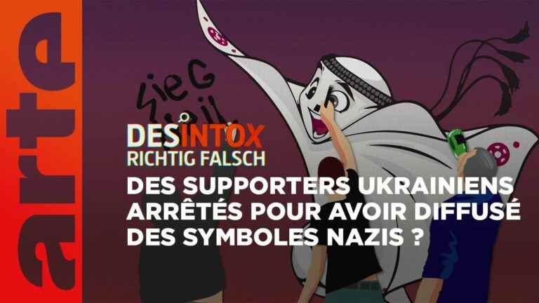 Detox.  No, there were no Ukrainian fans arrested in Qatar for spreading Nazi symbols