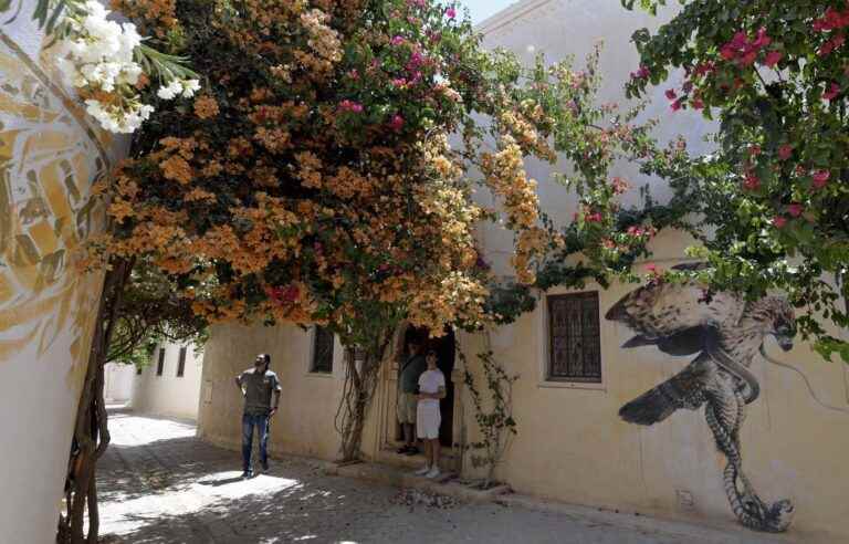 Djerba, capital of the French-speaking world for the 18th OIF Summit