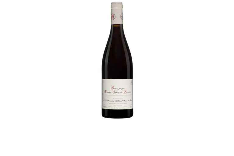 Domaine Billard Father and Son Hautes-Côtes de Beaune 2021 |  Treat: Subtle Delight