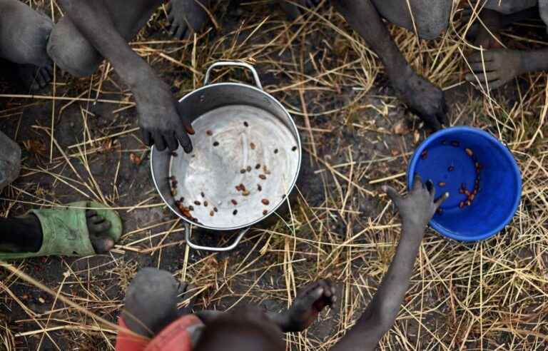 Eight million people at risk of starvation in South Sudan, according to the UN