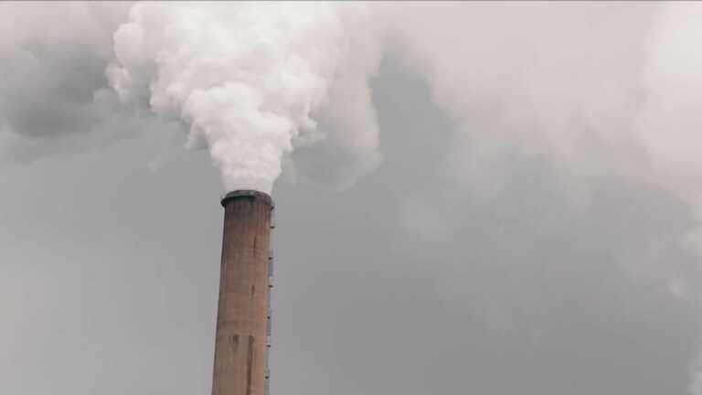 Electricity: the Saint-Avold coal-fired power plant is open again