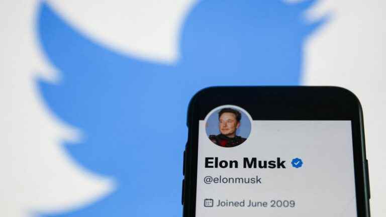 Elon Musk announces reinstatement of suspended social media accounts