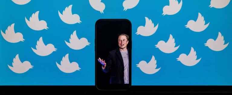 Elon Musk reinstates banned accounts on Twitter, no decision for Donald Trump