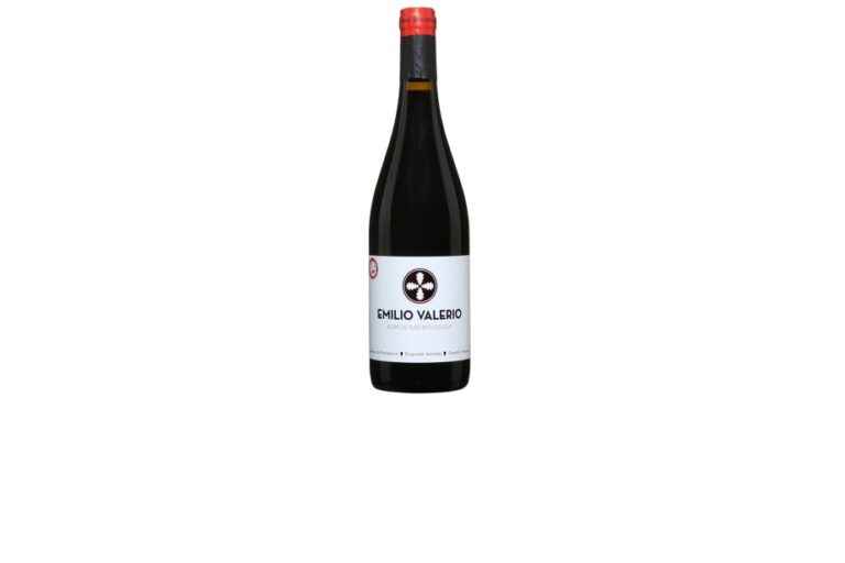 Emilio Valerio Laderas of Montejurra Navarra 2019 |  Affordable: utterly charming