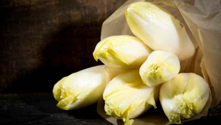 Endives, winter vegetables par excellence, are cooked at France Bleu Alsace