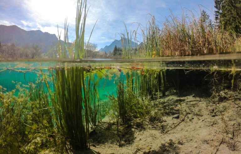 Environmental sciences: understanding aquatic environments to better preserve them