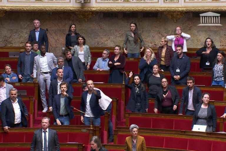 France |  The National Assembly stops its session after racist remarks