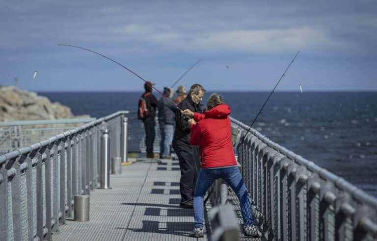 Gaspésie: tourist increase despite reopened borders and the price of gasoline