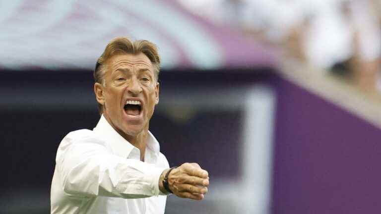 Hervé Renard’s Saudi Arabia for a new feat against Poland, Tunisia on the verge of elimination