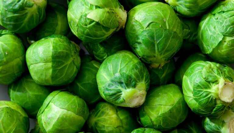 How about Brussels sprouts?  The ideas and tips of Florane, head of the BDE in Nancy