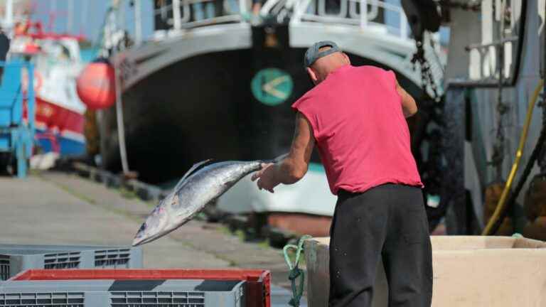 INFO FRANCEINFO.  Senior official suspected of conflict of interest with tuna fishing lobby