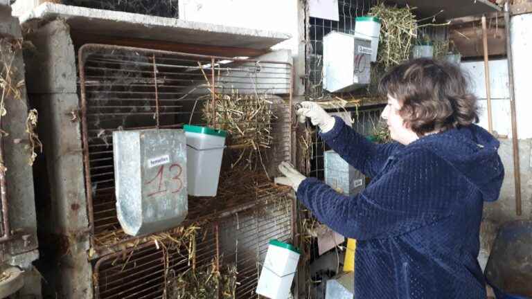 In Isère, an organic farm welcomes autistic people daily to help them feel valued through work