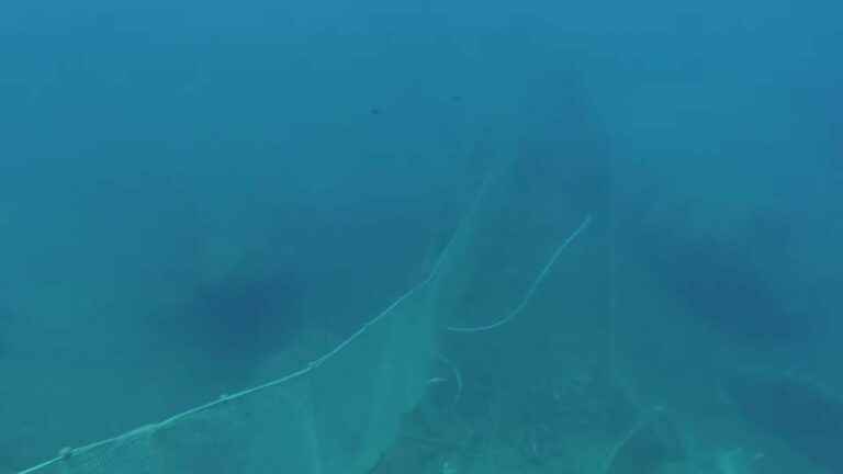 In Le Havre, biodegradable fishing nets to reduce waste at sea