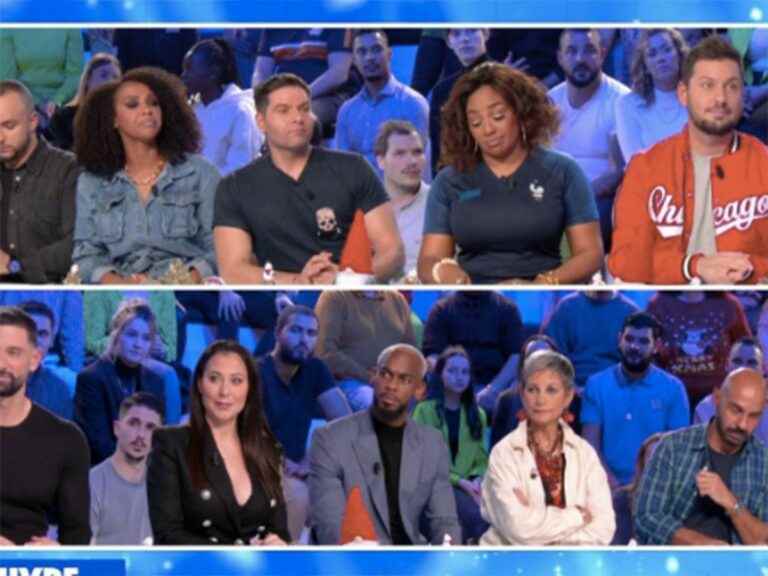 Internet users cry foul when they discover the new TPMP columnists